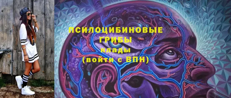 МЕГА ссылки  Котельниково  Галлюциногенные грибы Cubensis 